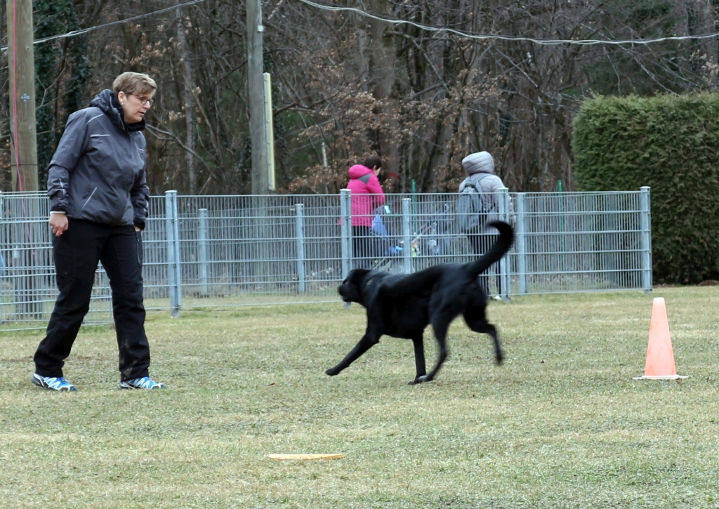 Obedience_2019_03
