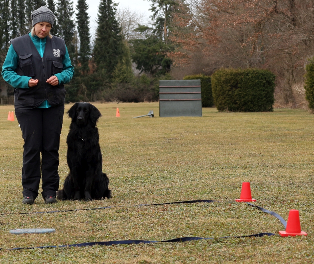 Obedience_2019_04