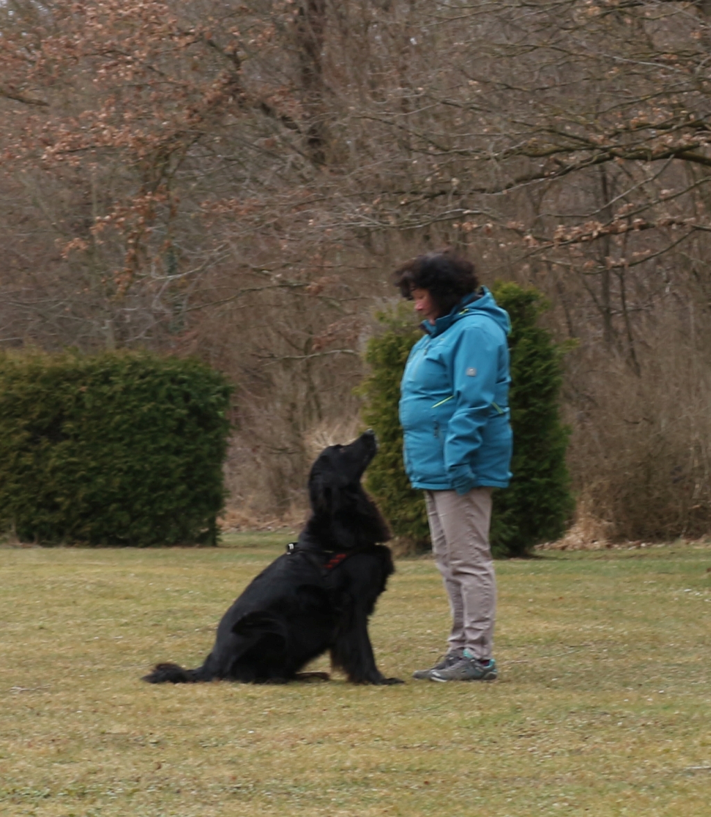 Obedience_2019_05 Obedience_2019_05