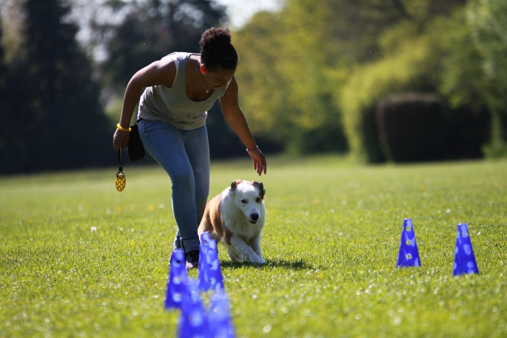 Obedience_2019_08 Obedience_2019_08