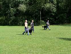 Training von Hundeführern mit fortgeschrittenen Hunden Training von Hundeführern mit fortgeschrittenen Hunden
